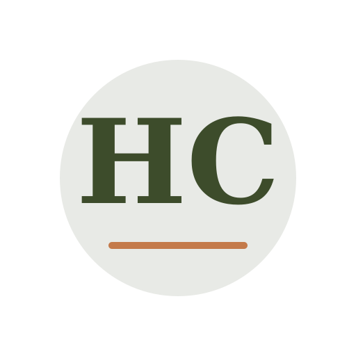 Hayes Chimney Repair logo